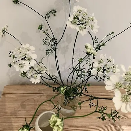 Nybygget Flott Kjellerleilighet * Asker